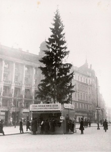Zahajovací slavnost XVI. Vánočního stromu republiky v Brně