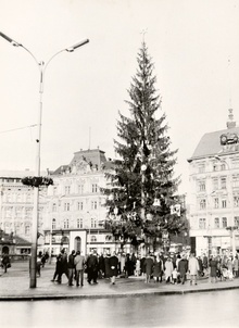 Zahajovací slavnost obnoveného Vánočního stromu republiky v Brně