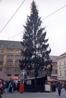 img0468.jpg