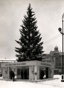 img0469.jpg