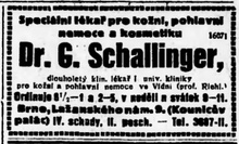 Georg Schallinger
