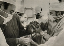 Provedena první transplantace jater v Československu 