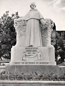 pomník: J. G. Mendel