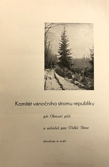 Zahajovací slavnost XV. Vánočního stromu republiky v Brně