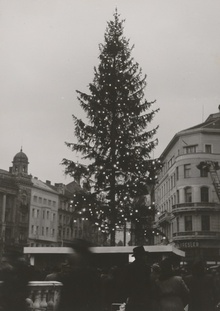 Zahajovací slavnost XVIII. Vánočního stromu republiky v Brně