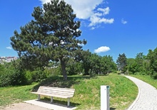 Tomešova, Trýbova, park na Žlutém kopci
