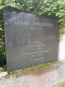 Leonie Zwicker