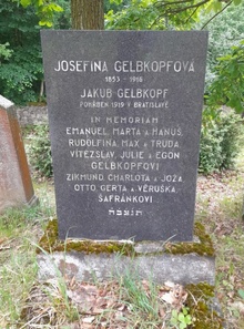 Martha Gelbkopf