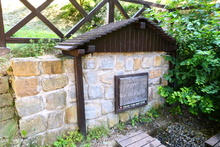 studánka: Lesní studánka