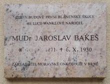 Jaroslav Bakeš