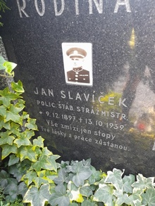img32249.jpg