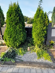 img32250.jpg