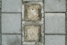 img32727.jpg