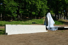 img33043.jpg