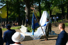 img33044.jpg