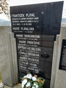 img33055.jpg