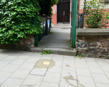 img33081.jpg