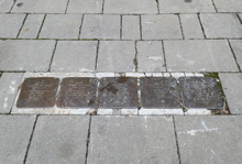 img33110.jpg