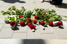 img33134.jpg