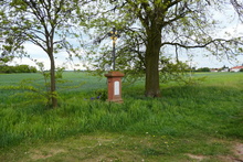 img33235.jpg
