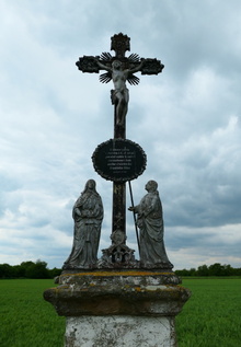 img33237.jpg