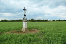 img33239.jpg