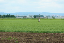 img33240.jpg