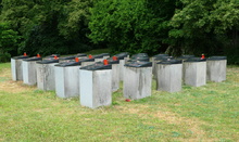 img33244.jpg