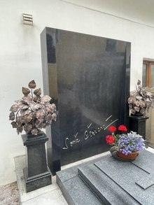 img33299.jpg
