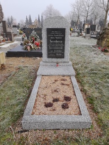 img33301.jpg