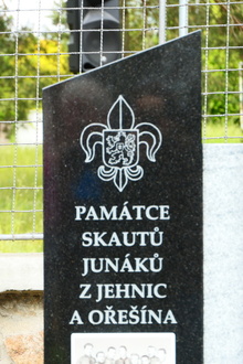 img33305.jpg