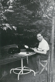 img33334.jpg