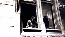 img33342.jpg