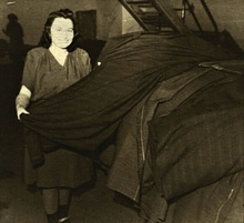 img33410.jpg