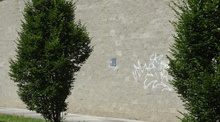 img33435.jpg