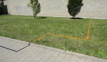 img33459.jpg