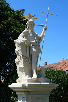 img33535.jpg