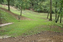 img33546.jpg