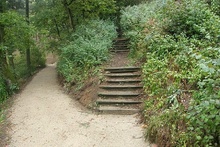 img33548.jpg