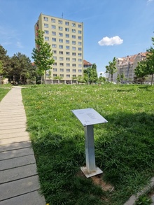 img33565.jpg