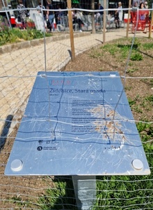 img33571.jpg