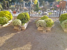 img33581.jpg