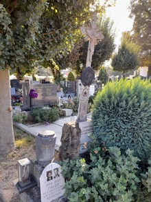 img33604.jpg