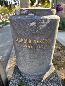 img33605.jpg