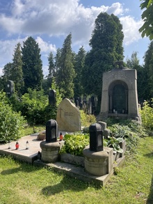 img33606.jpg