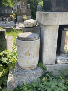 img33611.jpg