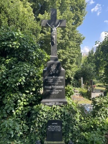 img33615.jpg