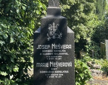 img33616.jpg