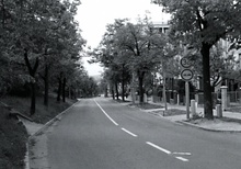 img33673.jpg