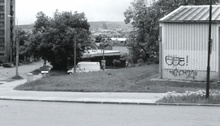 img33675.jpg